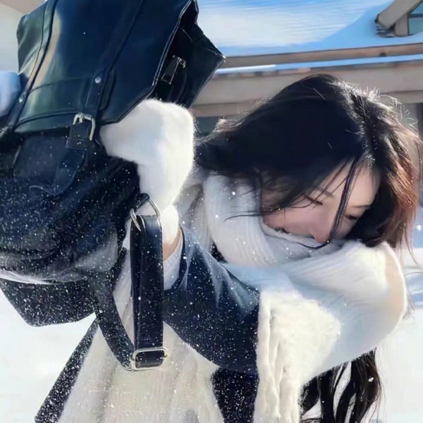 雪国抉择 海报